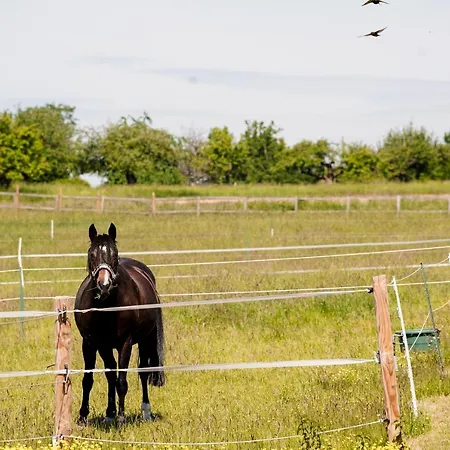 Fruehstueckspension Christinenhof Dreieich
