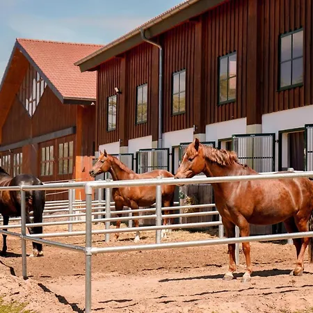 Fruehstueckspension Christinenhof 3* Dreieich