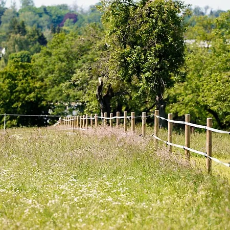 Bed & Breakfast Fruehstueckspension Christinenhof Dreieich