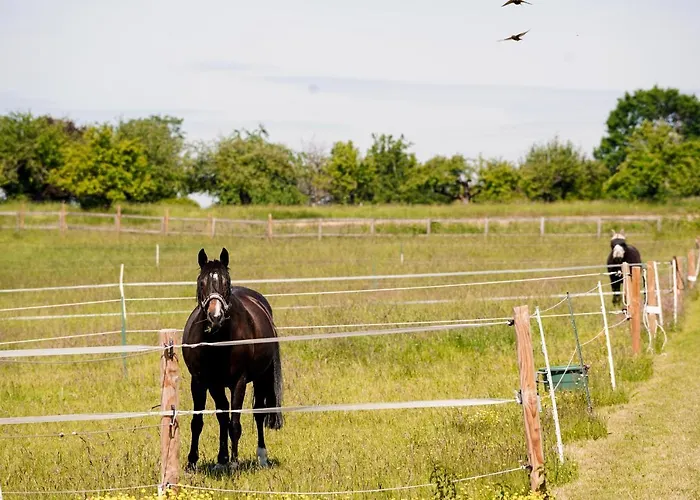 Fruehstueckspension Christinenhof Dreieich