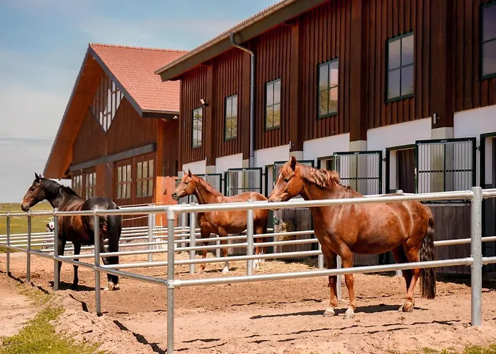 Fruehstueckspension Christinenhof 3* Dreieich